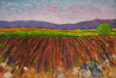 Campo arato